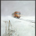 De Blauwe Engel (winter)