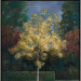Herfstkleuren