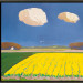 Narcissenveld
