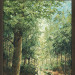 Boslandschap