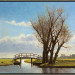 Landschap bij Dedgum