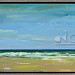 Noordzeestrand, Schiermonnikoog