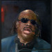 Stevie Wonder
