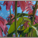 Aechinacea met blad