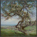 Bloeiende appelboom, Voerstreek