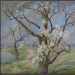 Bloeiende kersenboom