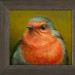 Portret van een Roodborst