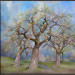 Appelboomgaard in bloei