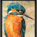 IJsvogel