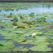 Het Stille Water