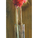 Giclée zonder lijst