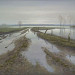 Giclée zonder lijst