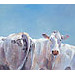 Giclée zonder lijst