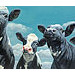 Giclée zonder lijst