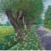 Giclée zonder lijst