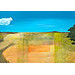 Giclée zonder lijst