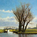 Giclée zonder lijst