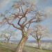 Giclée zonder lijst