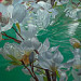 Giclée zonder lijst