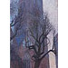 Giclée zonder lijst