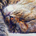 Giclée zonder lijst