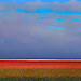 Giclée zonder lijst