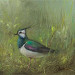 Giclée zonder lijst