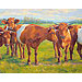 Giclée zonder lijst