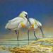 Giclée zonder lijst