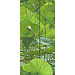 Giclée zonder lijst