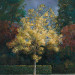 Giclée zonder lijst