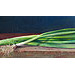 Giclée zonder lijst