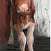 Giclée zonder lijst