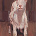Giclée zonder lijst