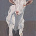 Giclée zonder lijst